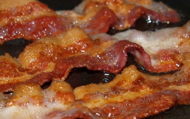 Bacon