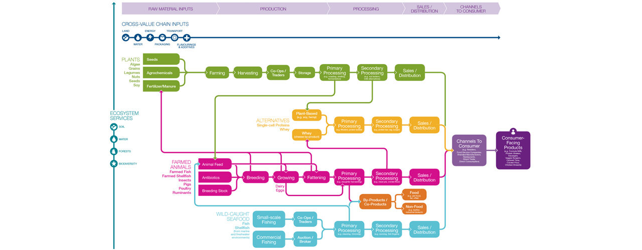 Forum-protein-map-v2-web-zoom