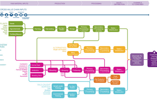 Forum-protein-map-v2-web-zoom