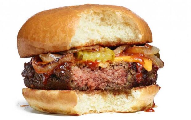 Impossible Foods Cheeseburger - Image from Impossible Foods