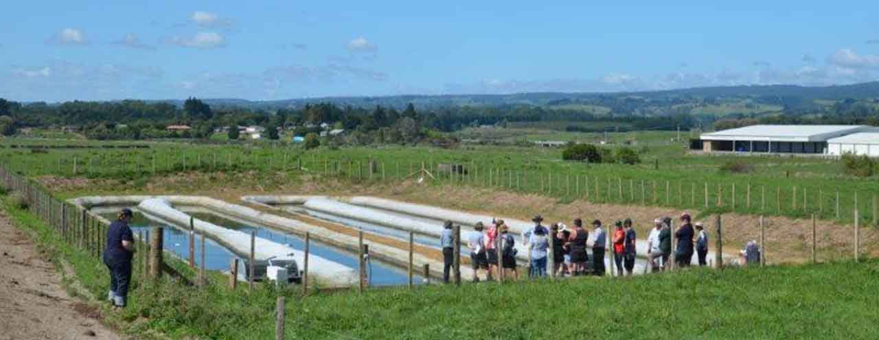 harnessing farm waste fc