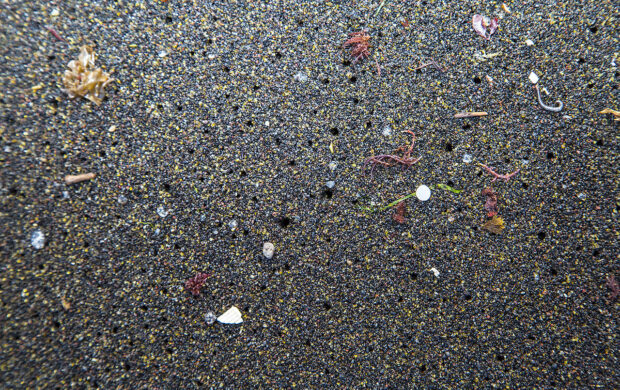 RaceforWater_PeterCharaf_MicroplasticsAzores_(2)