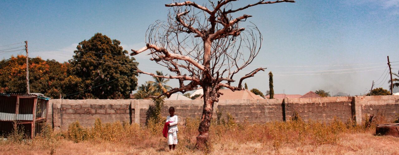 boy standing near bare-tree during daytime