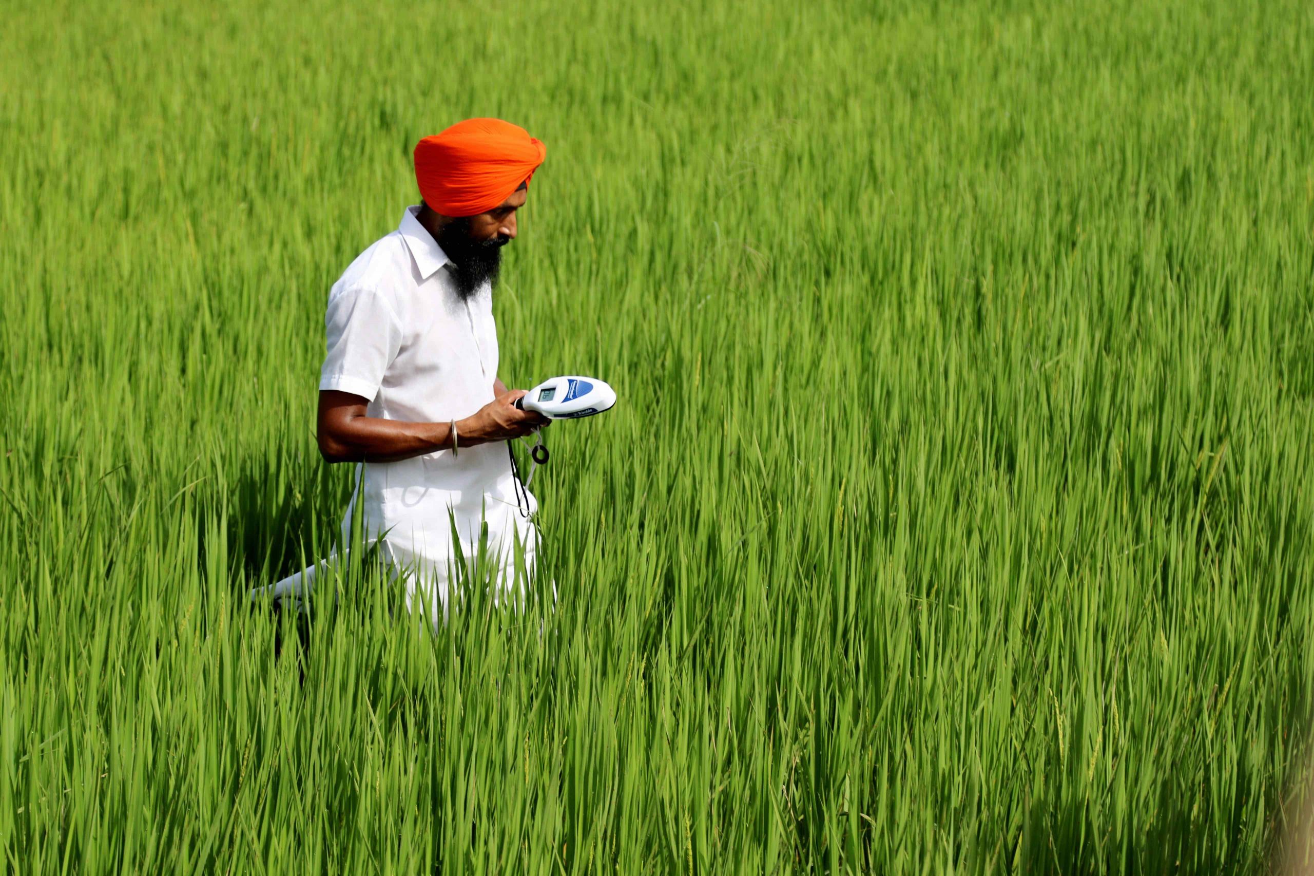 Man standing in a field - Future of Sustainability report - Time to transform - COVID-19 trajectories