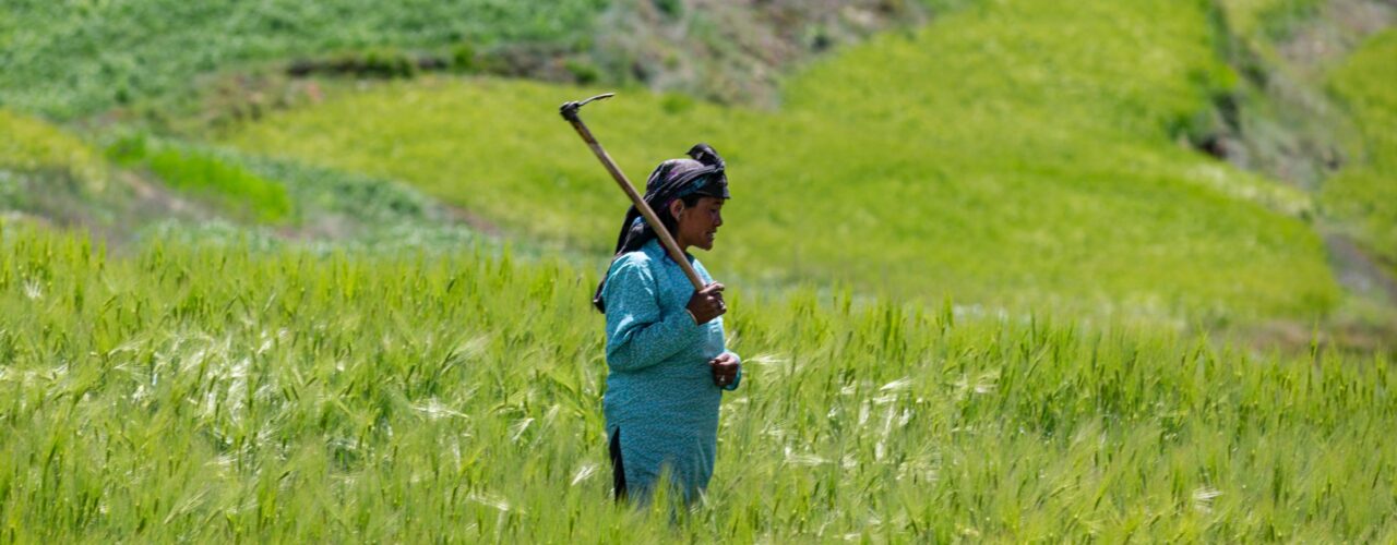 person holding hoe on grass land