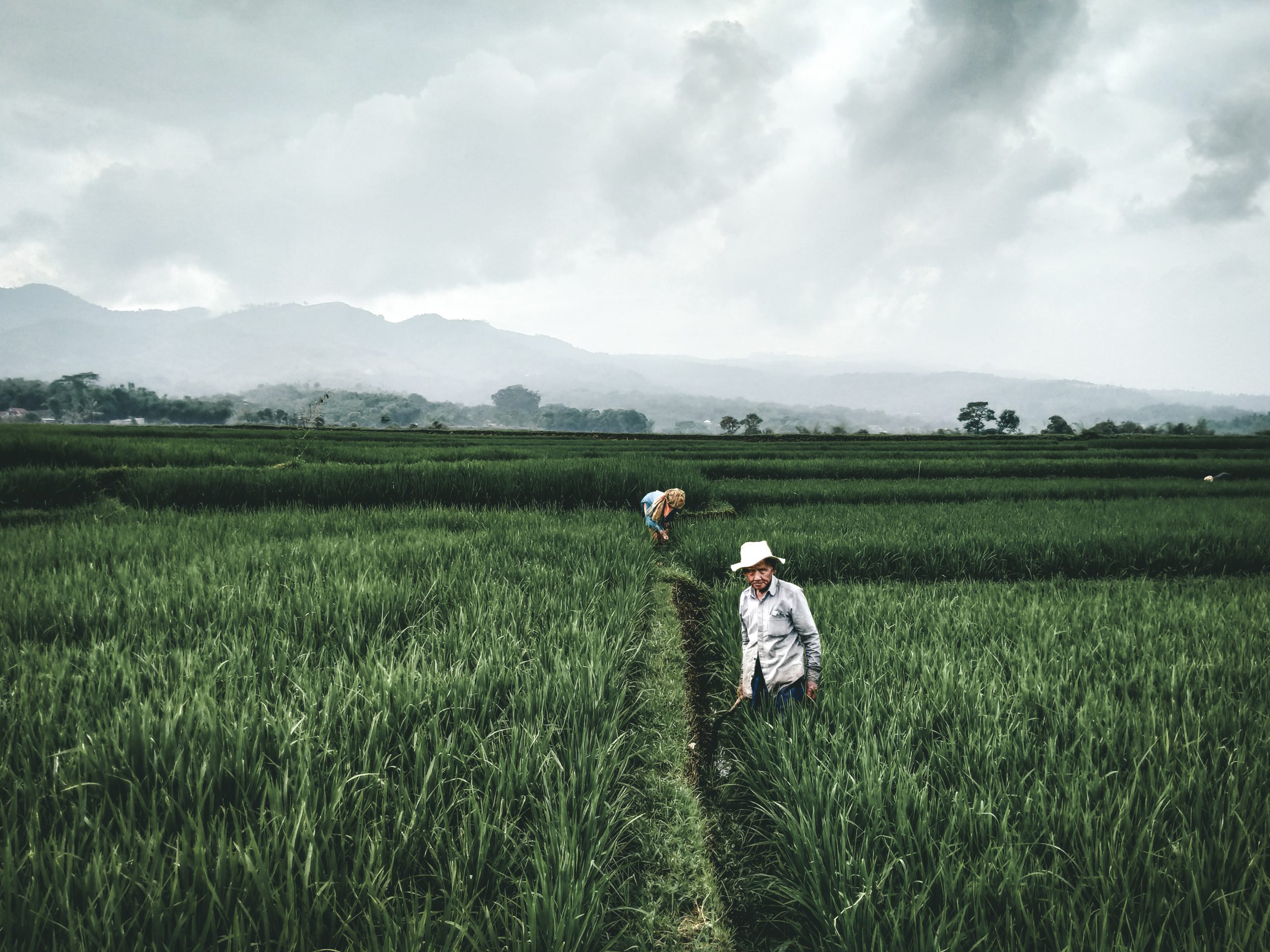 girl in white dress walking on green grass field during daytime