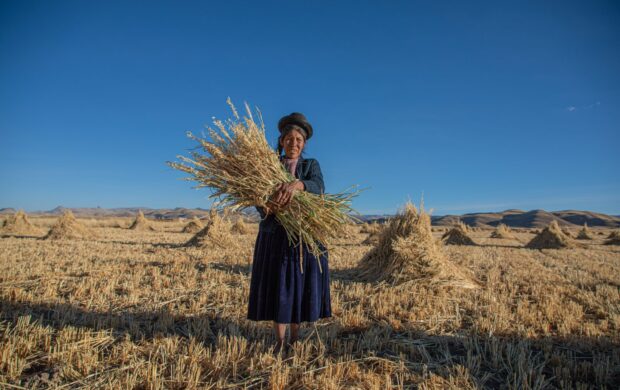 woman holding hay