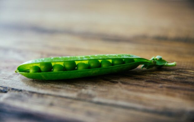 shallow focus photography of green pea on brown wooden surface