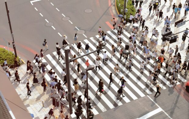 people walking on pedestrian lane during day time