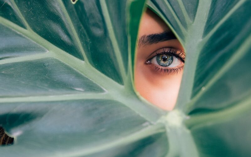 woman peeking over green leaf plant taken at daytime