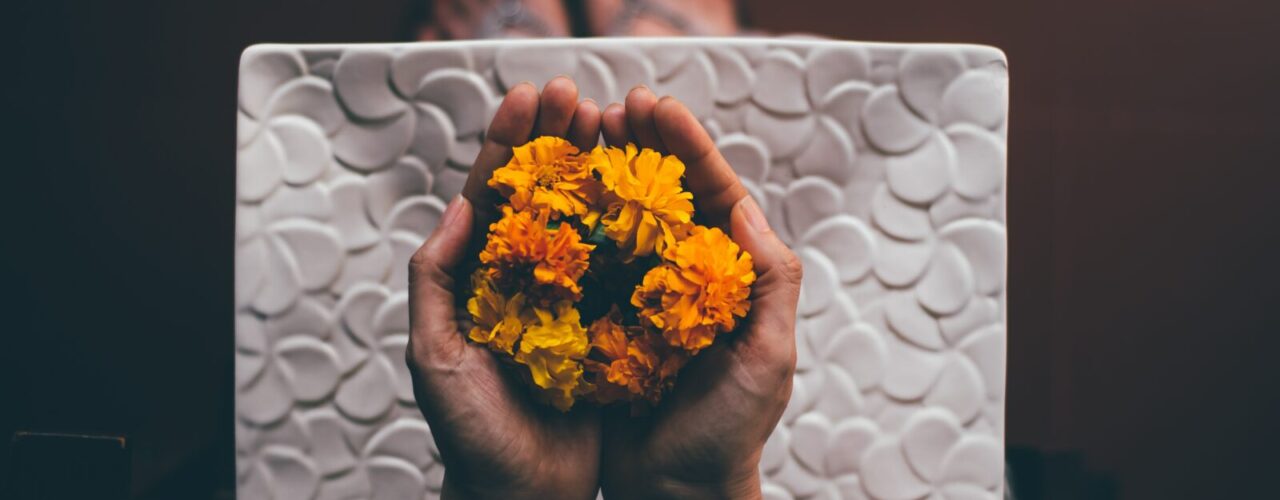 person hand holding yellow flowers