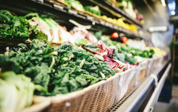 row of vegetables placed on multilayered display fridge