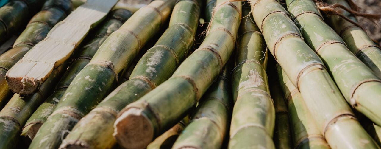 sugar cane sticks on brown wooden table