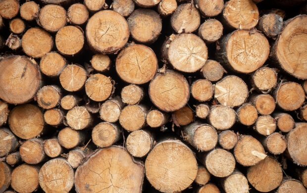 pile of brown wood logs