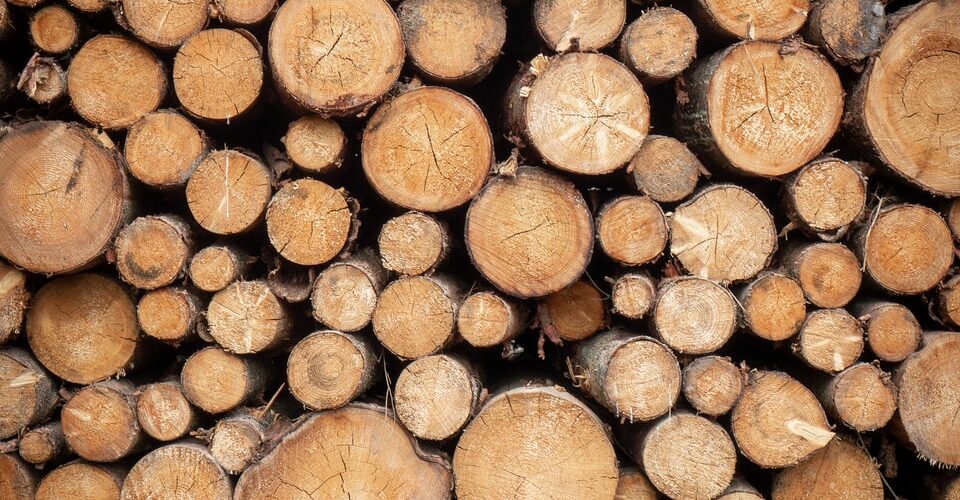 pile of brown wood logs