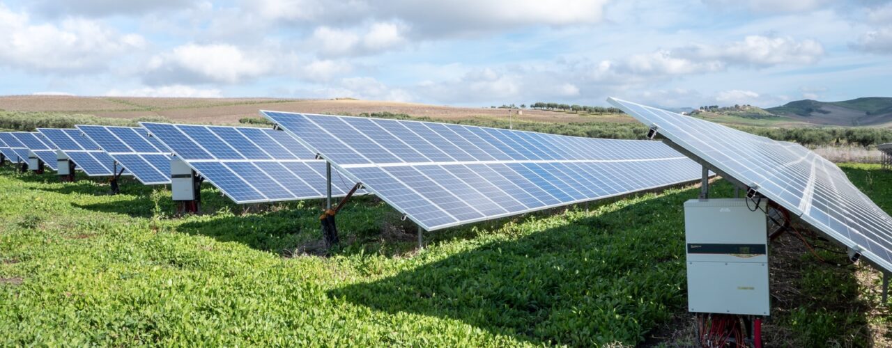 blue solar panels on green grass field under white clouds and blue sky during daytime