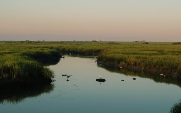 green grass field and lake during daytime