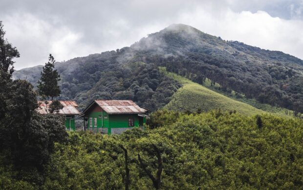 green and brown house on top of green mountain