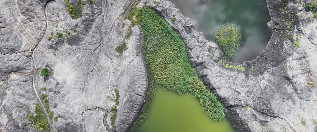 bird's eye photo of mountain surrounded by trees