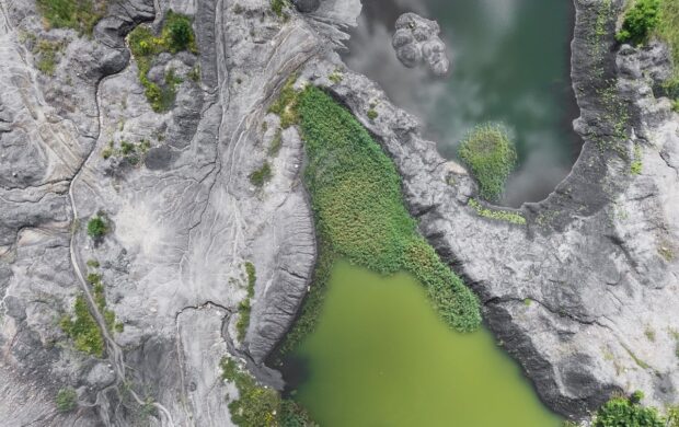 bird's eye photo of mountain surrounded by trees