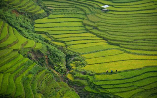 aerial photography of green mountain