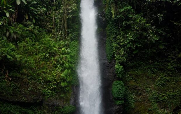 waterfalls in forest during daytime