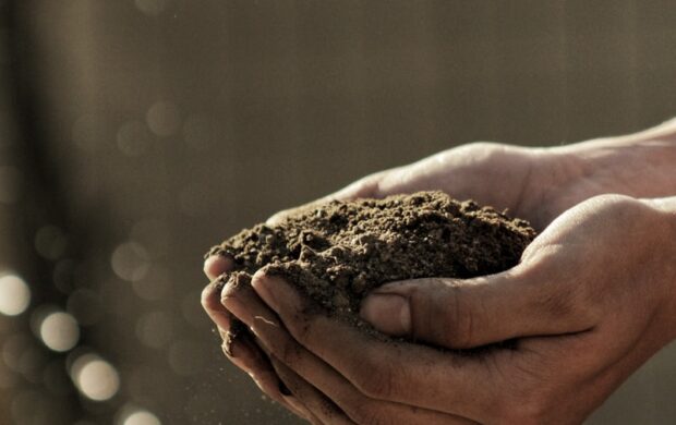 bokeh photography of person carrying soil