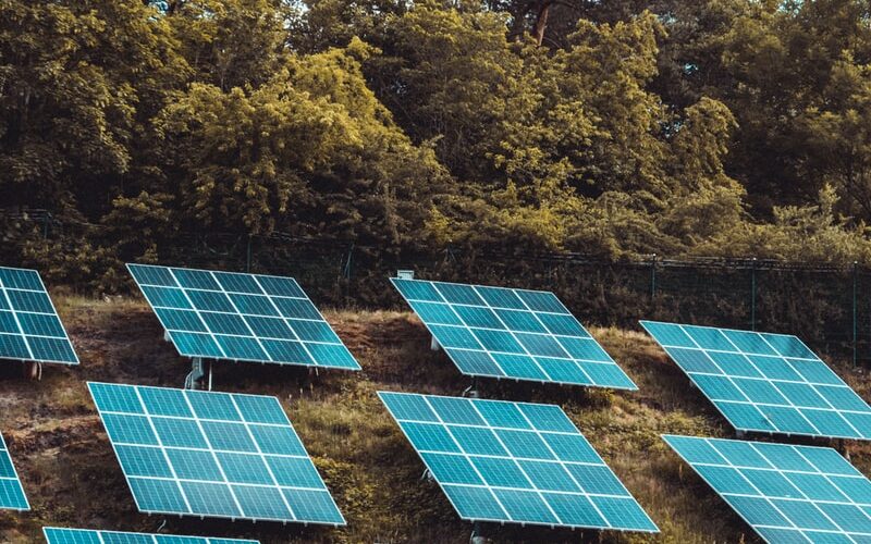 solar panels on green trees during daytime