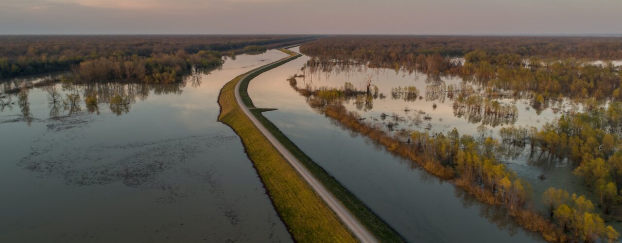 bird's eye view of river