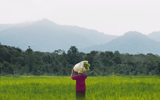 person in green jacket standing on green grass field during daytime