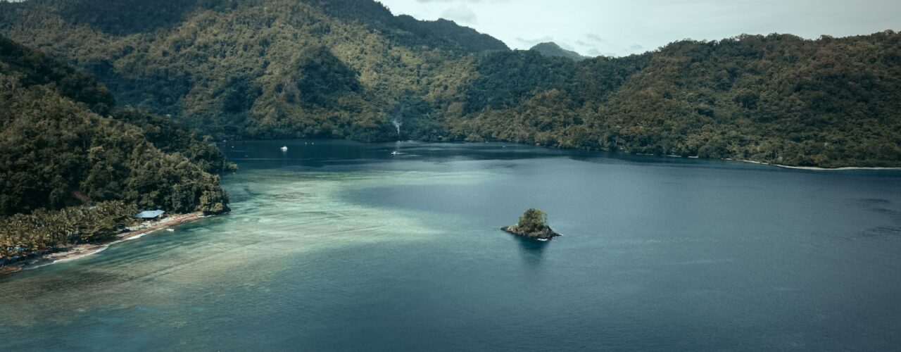 green trees on island surrounded by water during daytime