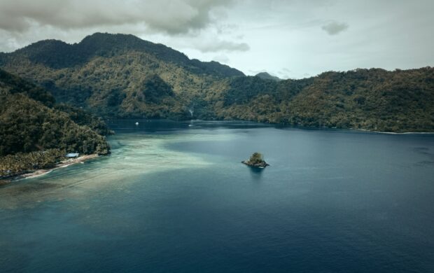 green trees on island surrounded by water during daytime