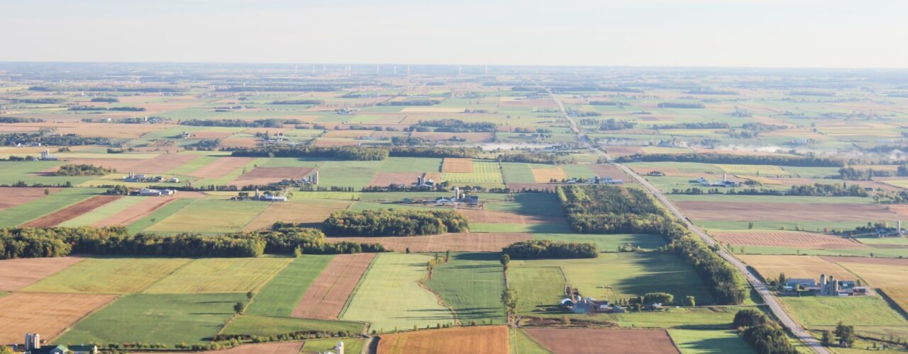 aerial photography of brown and green fileds