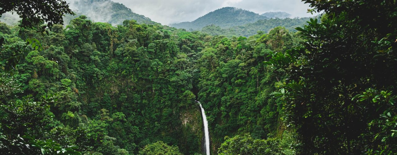 green trees on mountain under white clouds during daytime