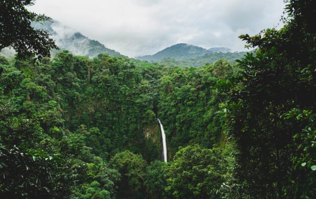 green trees on mountain under white clouds during daytime