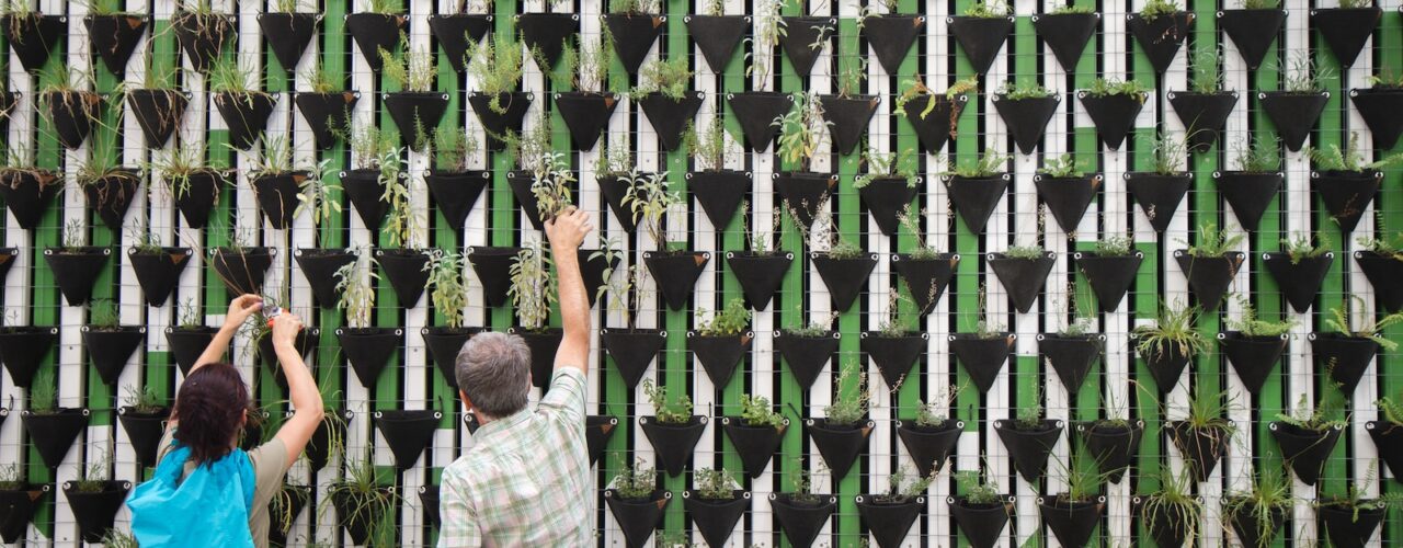 person planting on hanged pots