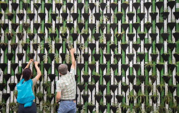 person planting on hanged pots