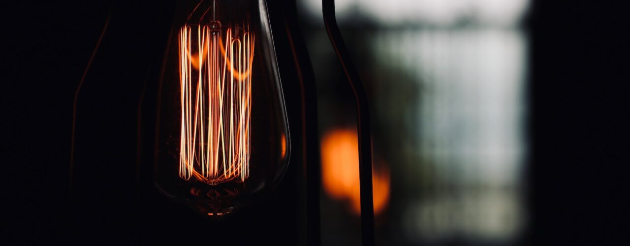 closeup photo of black and brown light bulb