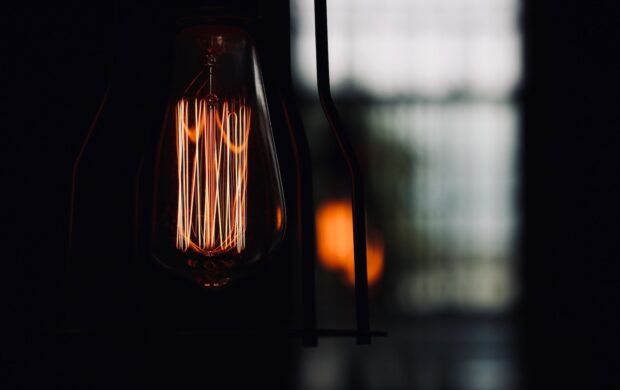 closeup photo of black and brown light bulb